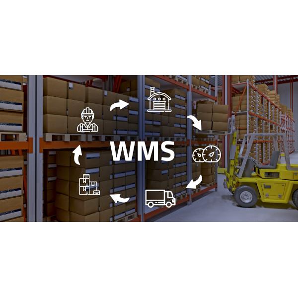 Multi Function Electric Radio Shuttle Remote Control for Warehouse Automatic Racking Systems