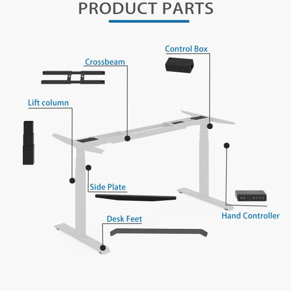 Modern Work Office Desk with Cable Management Uplift Standing Desk 355 Lbs Weight Capacity Modern Style