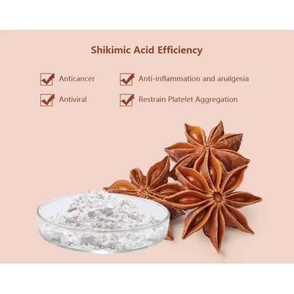 Star Anise Extract Benefits Star Anise Extract Benefits