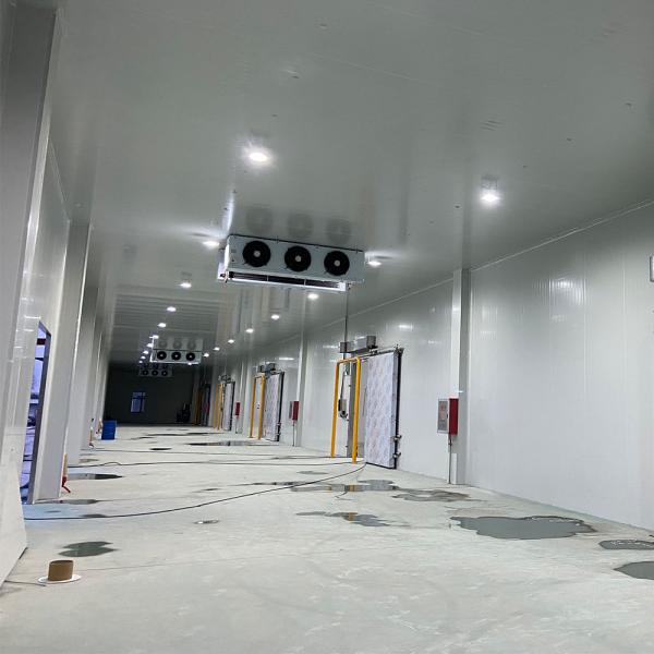 Walk In Freezer Cold Room Refrigeration System With Cooling System
