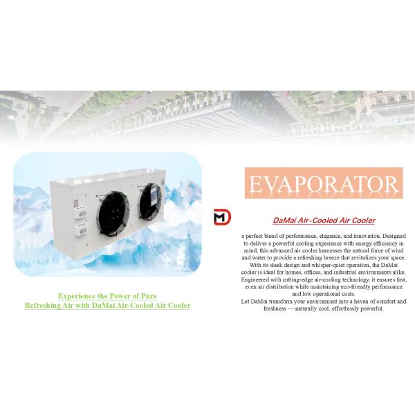 Air cooled Cold Room Evaporator with condensing unit Cooling System refrigeration equipment