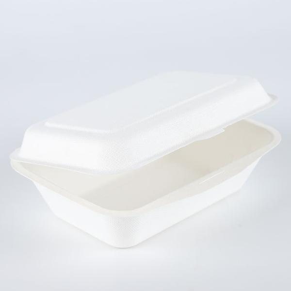 600ml sugar cane bagasse compostable takeout lunch box