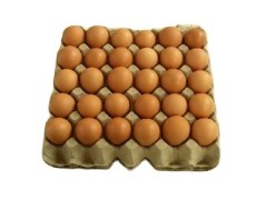 Semi Automatic Paper Egg Tray Making Machine with Simple Structure and 1 by 4 Molds for Production of 1500 Pieces per Hour