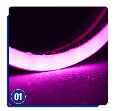 Custom Waterproof PVC LED Flexible Strip Light 110V 220V 24V 12V for Indoor Lighting