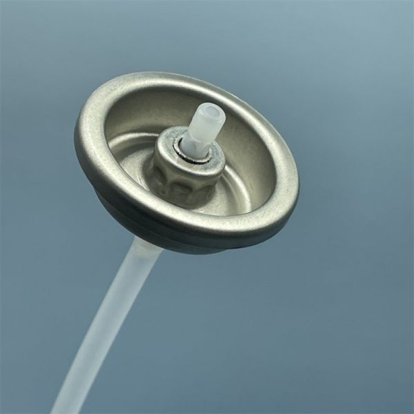 Close-up of spray valve nozzle and actuator