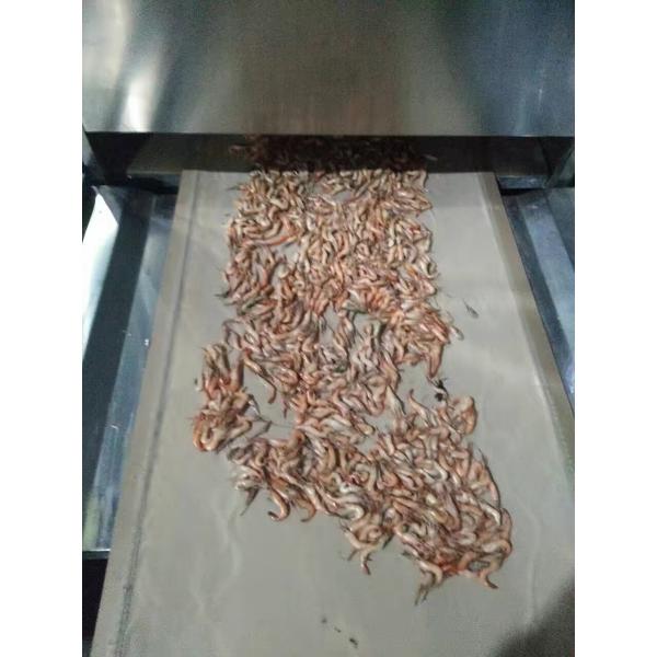 Seafood Microwave Drying Machine High Efficiency , Industrial Microwave Drying Equipment
