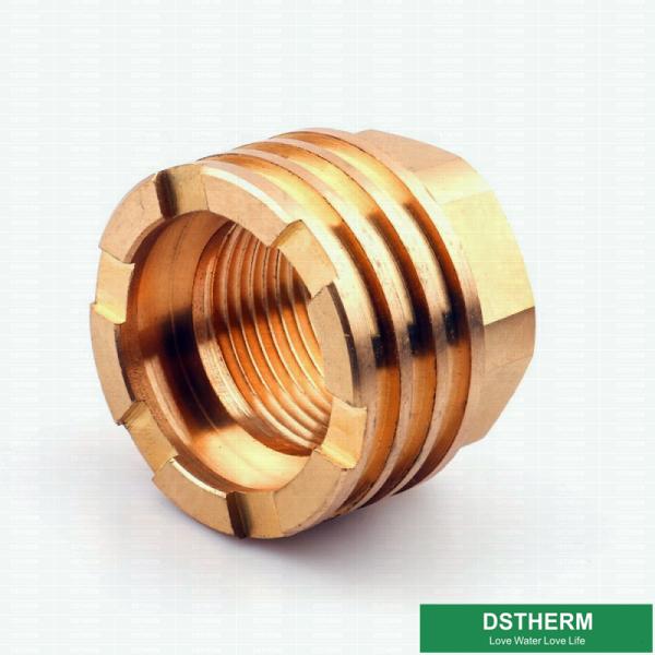 Customized Designs Precise Inserts Female Brass Inserts For Ppr Fittings