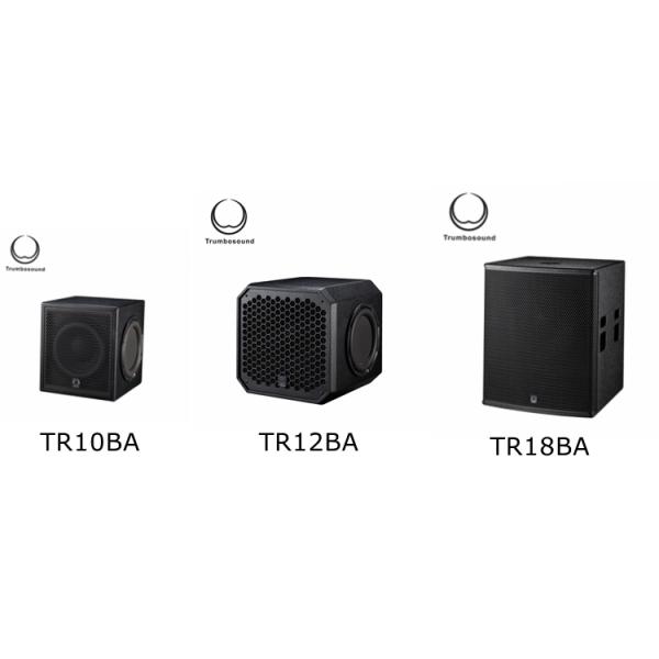 10 inch active full range loudspeaker two way loudspeaker Multifunctional speaker TR10A
