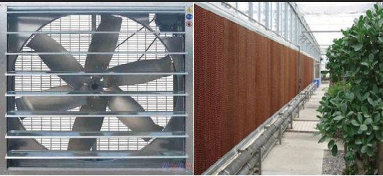 Large Size Vertical Hydroponic Greenhouse Stable Structure Easily Assembled