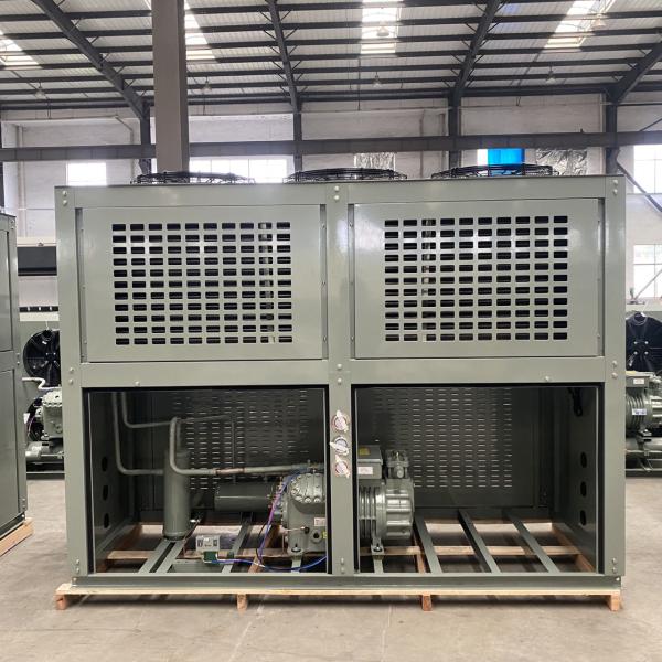Custom Industrial Refrigeration Condensing Unit For Cold Storage Cooling System Air Cooling