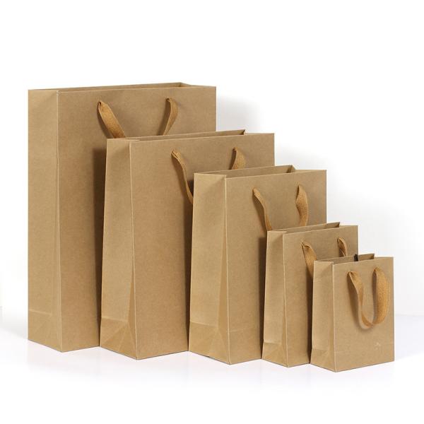 Custom Printing Biodegradable Paper Gift Handbag for Eco-Friendly Packaging Solutions