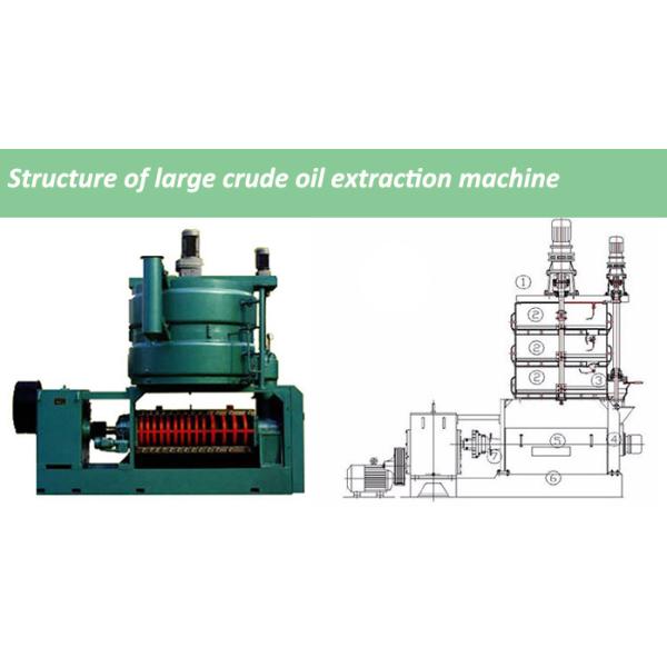 Automatic Grade Automatic Screw Cotton Seed Sunflower Pumpkin Seed Oil Mill Press Machine for Large-Scale Commercial