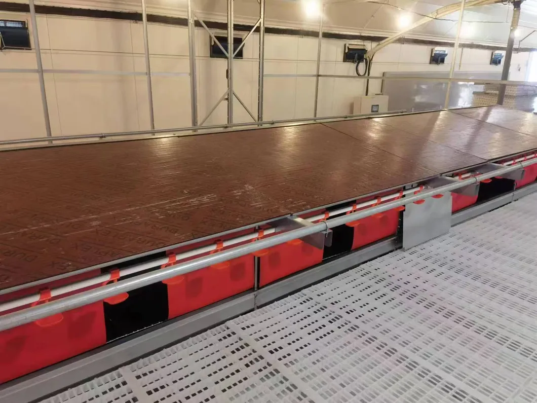 Poultry Farming Automatic Egg Nesting Box Labor Saving For Floor Raised Layers