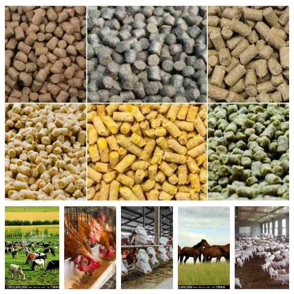 2ton/H Automatic Poultry Pellet Machine 2.5mm Pellet Making Machine For Poultry Feed