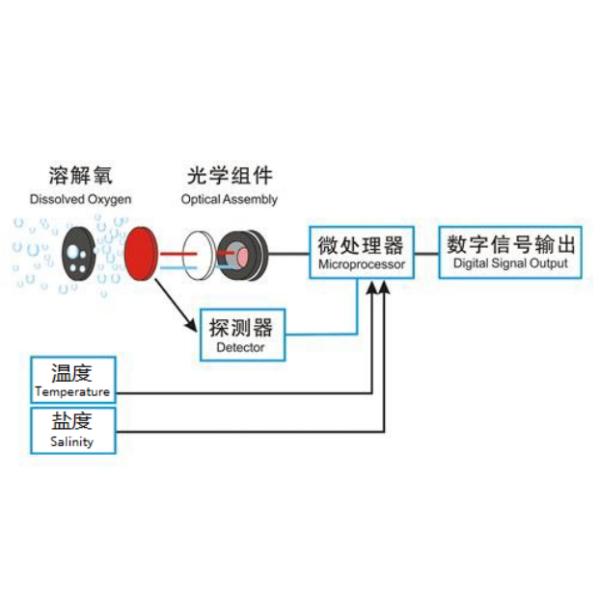 Accurate And KWS-650C Online Dissolved Oxygen Sensor With Fluorescence Method , Resolution 0.01mg/L, 0.1℃
