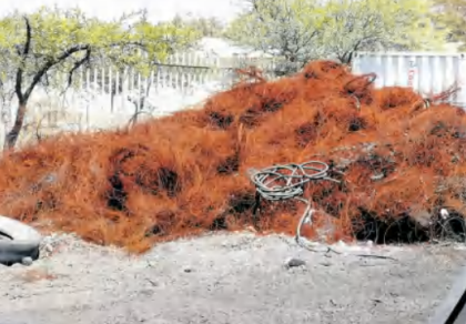Converting Solid Waste to Diesel with Batch Type Mingjie Pyrolysis Machine Solution
