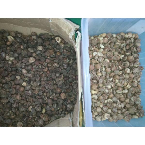Multi-Functional Pine Nut Apricot Peanut / Groundnut Color Sorting Machine Color Separator