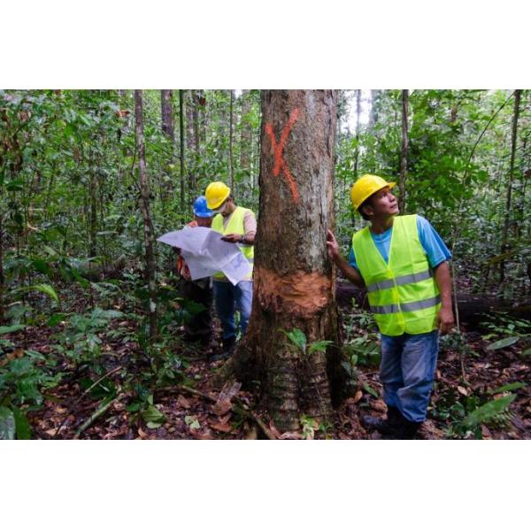 Visible Bright Colors Forestry Tree Marking Paint For Timber Processing Industries Use