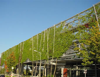 Green building facades with green are climbable to most vines and create a beautiful building green facades that catch people's eyes.