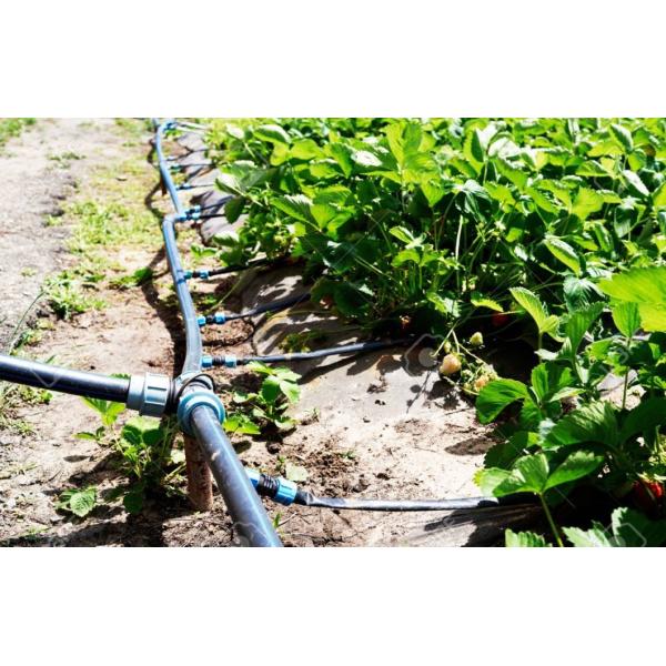 Durable All Size and Type Irrigation Plastic Compression Fitting Pn16 Square One Design