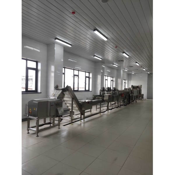 Industrial Automatic Dry Fruit Washing Drying Sorting Waxing Machine