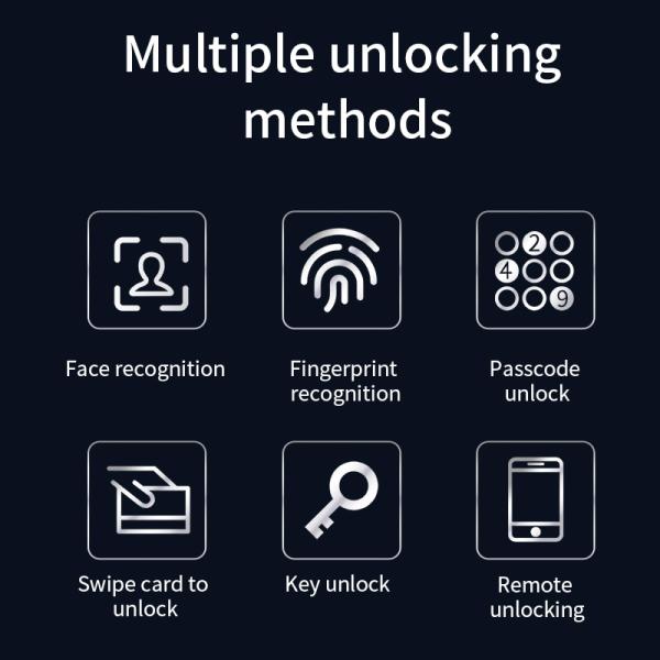 Multi-Languages 3D Face Automatic Smart Entry Door Locks Black Cerradura Inteligente