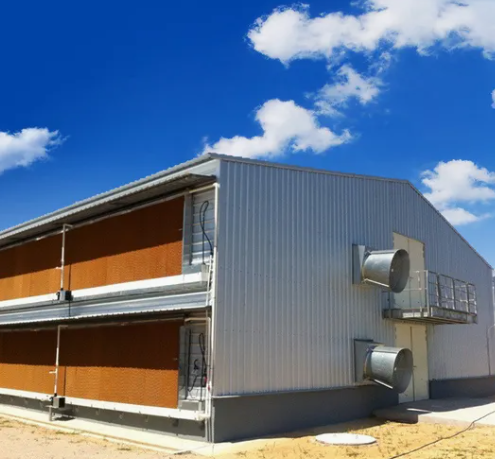 Pre-engineered Broiler Chicken House with Low Maintenance and Customizable Exterior Finishes for Efficient Poultry Farming