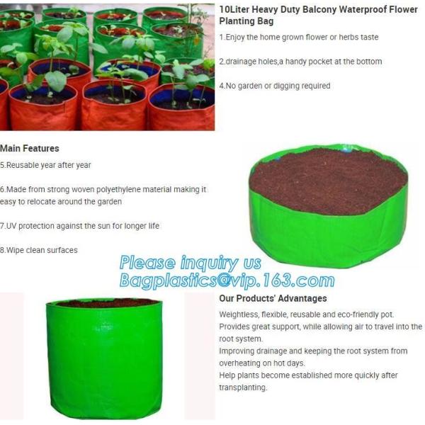 customized waterproof green pe car protector,environmental firendly, car boot liner, reusable, durable,economical,sample