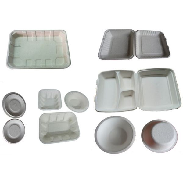 Fast Food Box / Disposable Tableware Making Machine Drying in Mould 7000Pcs / H
