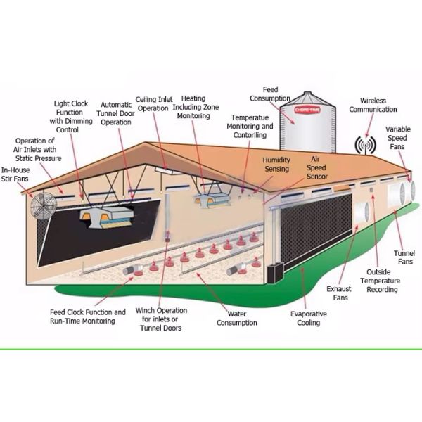 Complete Prefab House Solution Chicken Farming Industrial-Style Automatic Layer Broiler Poultry Cage System Steel for Warehouse
