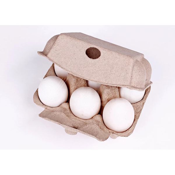 Double Rotary Egg Tray Making Machine / Auto Pulp Molded Production Line