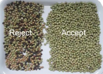 Upgraded Multi Function Grains Optical Color And Shape Sorter For Cereal / Lentils / Barley