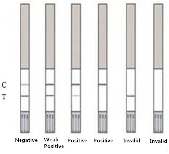 Tylosin Tilmicosin Combo Rapid Test Strip For Milk