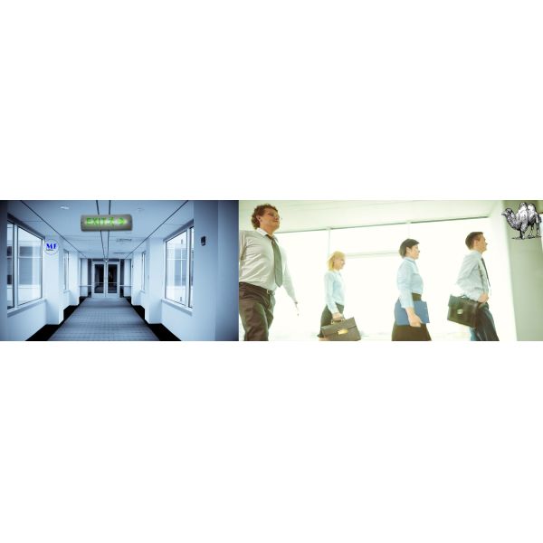 8W IP65 ABS PC LED Emergency Light Exit Light for School Subway Supermarket