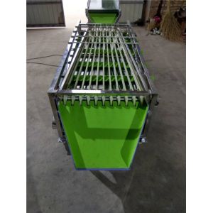 mini dates sorting machine, lemon grading machine, onion potato sorting machine