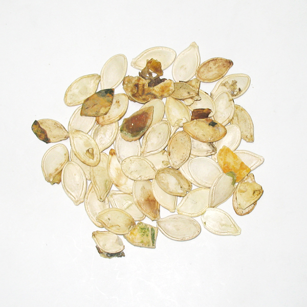 Multi-Function Coffee Bean Color Sorter High-Efficiency Optical Sorter for Nuts, Beans and Dehydrated Veggies