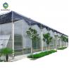 anti aging 8mm agricultural clear polycarbonate greenhouse for sale