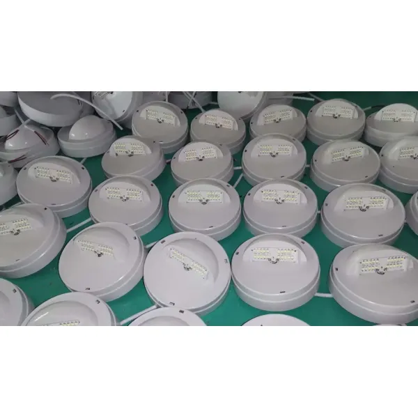 IP43 LED Emergency Spot Ceiling Down Light 3W Recessed Mount Downlights