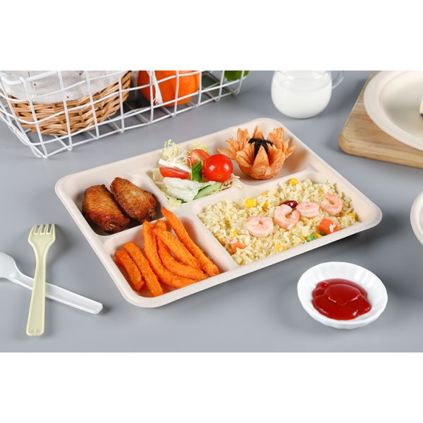 biodegradable tableware Rectangle 5 division meal snack Tray