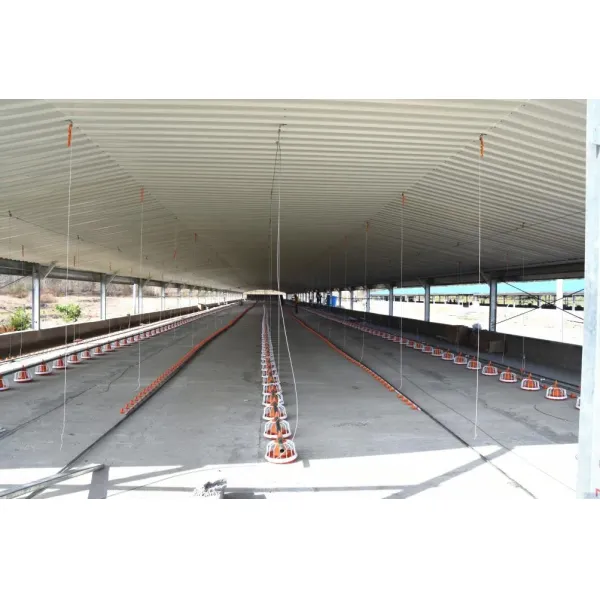 Insulation Panel Prefab Steel Structure Metal Breeding Poultry Chicken House
