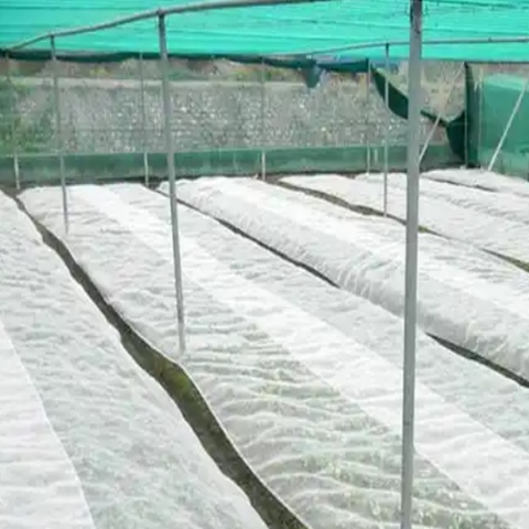 Plastic Mesh Insect Screen 50 Mesh For Greenhouse Netting
