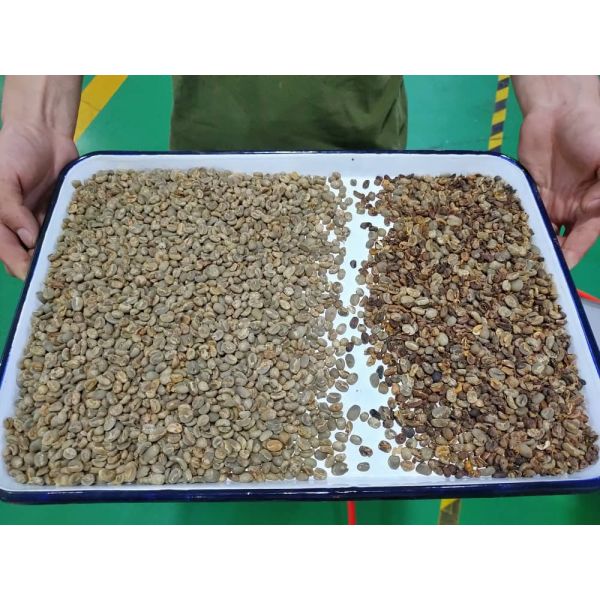 Upgraded Multi Function Grains Optical Color And Shape Sorter For Cereal / Lentils / Barley