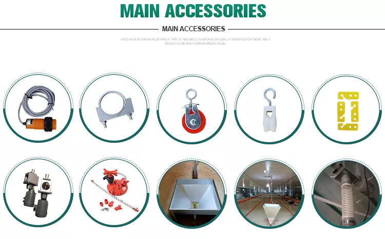 Automatic 304 Stainless Broilers Feeding System For Farm House