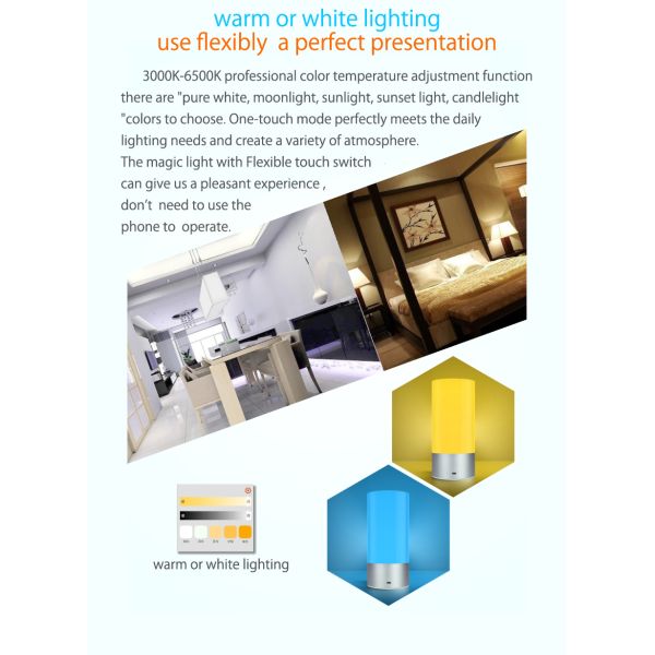 USB Chargeable bluetooth control portable smart led light