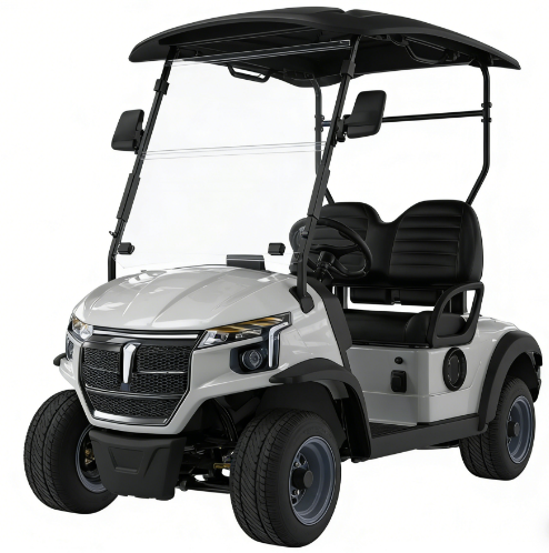Rust-proof D302 All-Terrain Performance Golf Cart with High-Strength Composites and Independent Rear Suspension