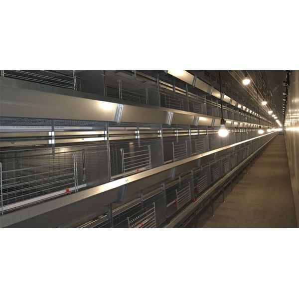 Top Quality H Frame Brooding Chicken Cage Pullet Cage With EU standard