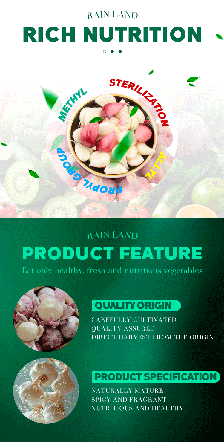 Organic Fresh High-quality Garlic Grown in China 10kg Mesh Bag Wholesale