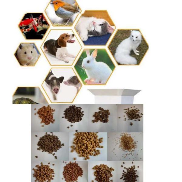Automatic Dry Type Fish Feed Extruder Electric Heating For Large Scale Production