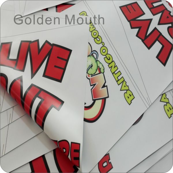 High Resolution Double Sided Printed PVC Banners with Sleeves