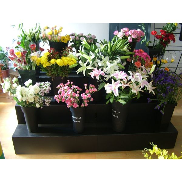 Lightweight & Durable PP Display Stand Made from Corrugated Polypropylene Board, Strong Structure, Easy Assembly, Ideal for Retail Promotion and